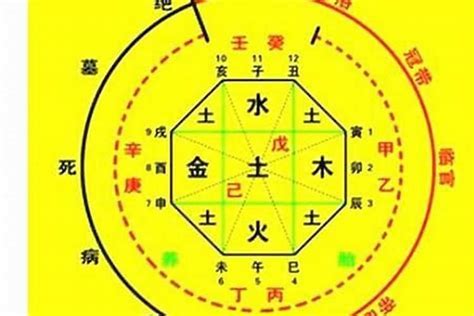 八字五行比例|生辰八字算命、五行喜用神查询（免费测算）